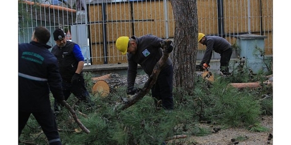 Osmangazi Belediyesi’nden Lodosa Karşı Etkin Müdahale