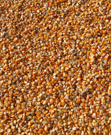 Özova Tarım'dan iş anlaşması