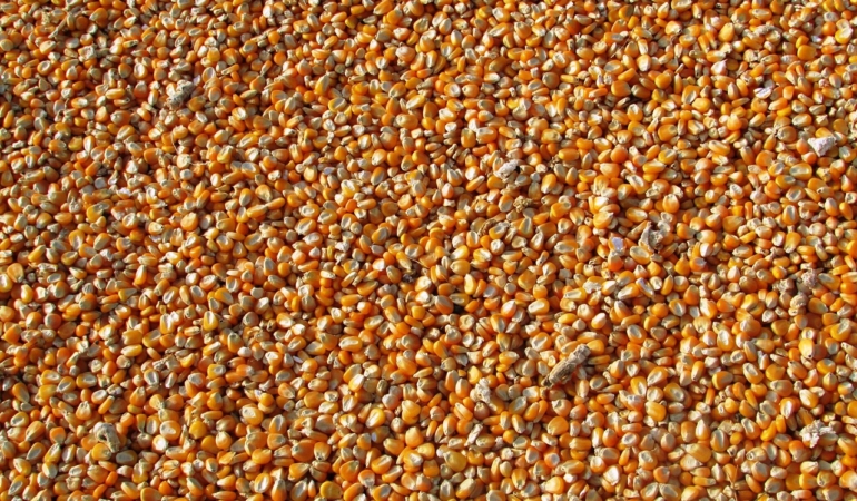 Özova Tarım'dan iş anlaşması