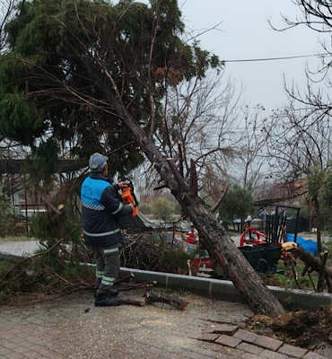 Pamukkale'de fırtına ve sağanak yağışa anında müdahale