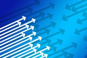 Petkim'den sermaye artırımına katılım kararı