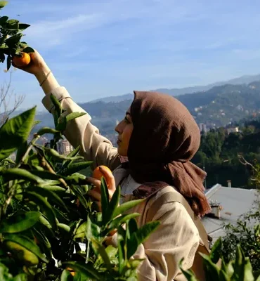 Rize’de "Haydi Hep Birlikte Mandalina Hasadına” etkinliği