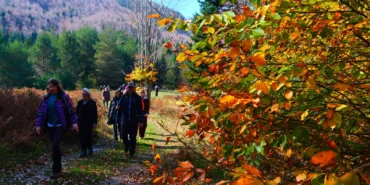 Sakarya’da doğa yürüyüşlerinde sonbahar coşkusu
