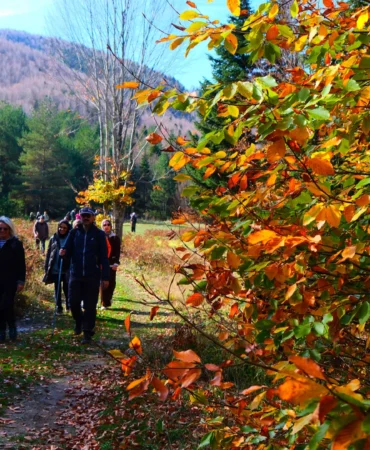 Sakarya’da doğa yürüyüşlerinde sonbahar coşkusu