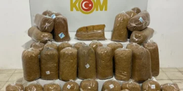 Samsun'da tırda 215 kilogram kaçak tütün ele geçirildi