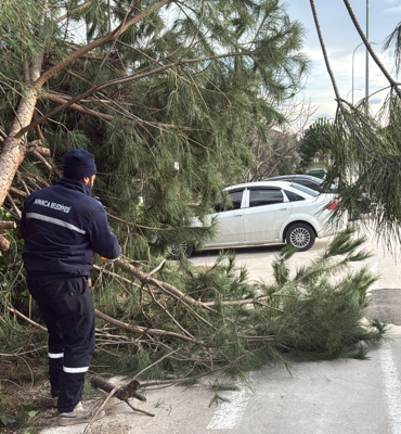 Sapanca Belediye ekipleri şiddetli rüzgar ve fırtınada sahada