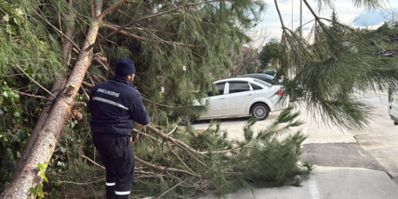 Sapanca Belediye ekipleri şiddetli rüzgar ve fırtınada sahada