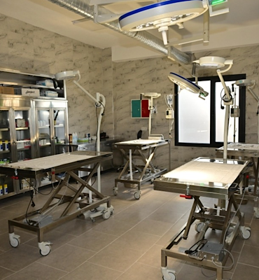 Şehzadeler’deki hayvan barınma alanı kapatılıyor