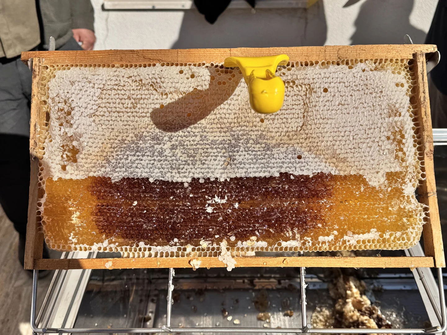 Siirt’te 114 projeye 268 milyon 765 bin lira hibe sağlandı, 110 arıcılık projesi desteklendi