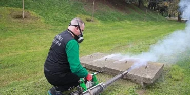 Sinekle mücadele sonbaharda da hız kesmiyor