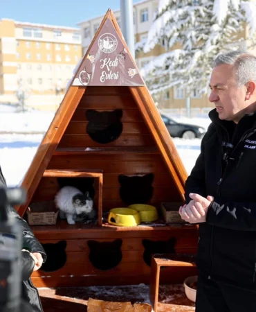 Sivas Belediyesi sessiz dostlarını unutmadı