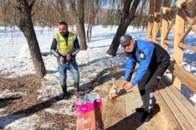 Soğuk havada sokak hayvanlarının yardımına polis koştu