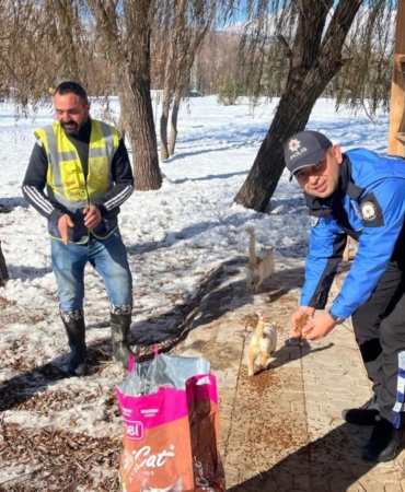 Soğuk havada sokak hayvanlarının yardımına polis koştu
