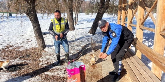 Soğuk havada sokak hayvanlarının yardımına polis koştu