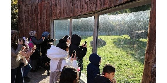 Sömestr Menderesli Çocuklara Hoş