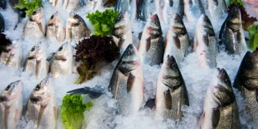 Su ürünleri ihracatının yüzde 47’si Ege'den yapıldı