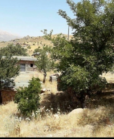 Tapu kaydı olmadığı için hak sahibi olamayan yaşlı adam yetkililerden destek bekliyor