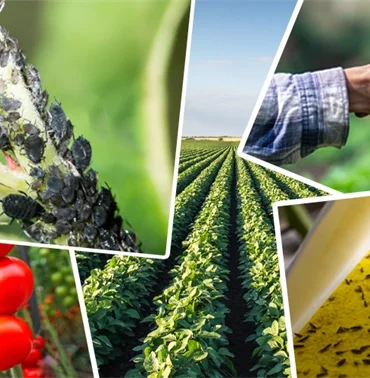 Tarımsal Destek Ödemelerinde Yeni Düzenleme