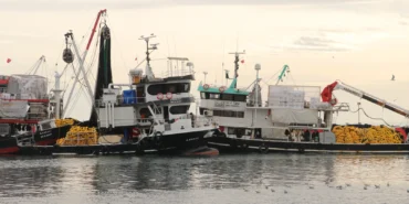 Tekirdağ'da lodos deniz ulaşımını olumsuz etkiliyor