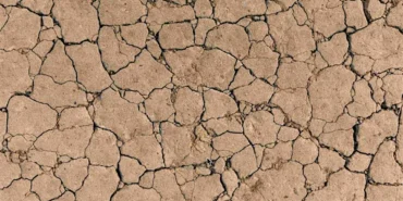 TEMA Vakfı: Toprak yoksa su, su yoksa gıda yok