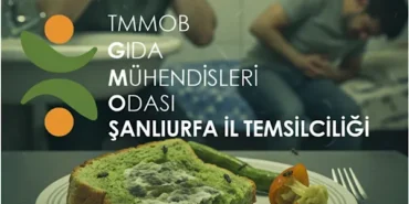TMMOB Gıda Mühendisleri Odası: Güvenli gıdaya erişim temel bir insan hakkıdır