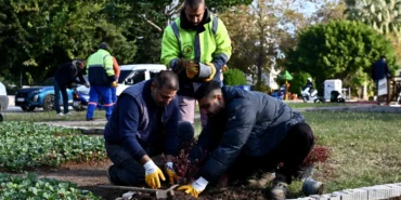 Trafik Parkı, Muratpaşa’da Çiçek Bahçesine Dönüştü