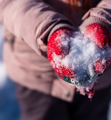 Tunceli'de eğitime 1 gün ara verildi