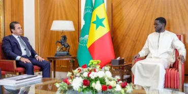 Türk iş adamının Senegal'de üst düzey işbirliği adımı