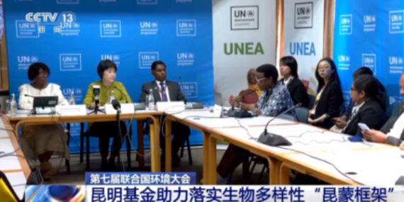 UNEP: Kunming Biyoçeşitlilik Fonu tam kapasite devrede, Çin’in rolüne teşekkürler