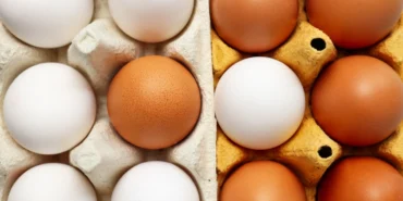 Üretim 11 aydır düşüyor... Vatandaş yumurtaya ulaşamıyor!