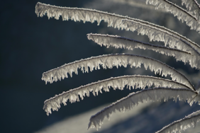 Van’da buzlanma, don ve kuvvetli rüzgar uyarısı