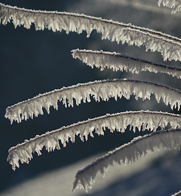 Van’da buzlanma, don ve kuvvetli rüzgar uyarısı