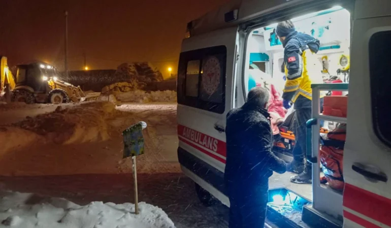 Van'da yaşamı durduran kar afeti