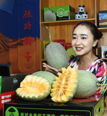 Xinjiang’daki tüm kırsal alanlara e-ticaret erişimi sağlandı