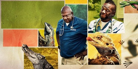 12 Kısımdan Oluşan ‘Veteriner Dostlar’ın 5. Dönemi, 9 Şubat Pazartesi Saat 20.00’de National Geographic WILD Ekranlarında Başlıyor!