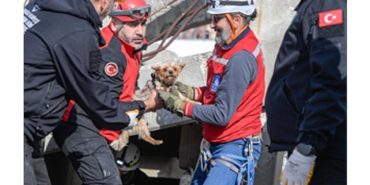 afetzede-hayvanlar-icin-ilcelere-arama-kurtarma-egitimi-BDrEq1u7.jpg