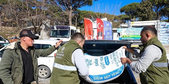 Aydın Büyükşehir Belediyesi’nin Küçük Üreticilere Yem Dayanakları Devam Ediyor