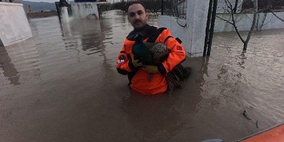 İzmir İtfaiyesi sessiz canlar için vakitle yarıştı