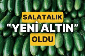 salatalik-bir-ulkede-yeni-altin-olarak-anilmaya-basladi-4p9IGcCO.jpg