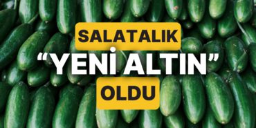 salatalik-bir-ulkede-yeni-altin-olarak-anilmaya-basladi-4p9IGcCO.jpg