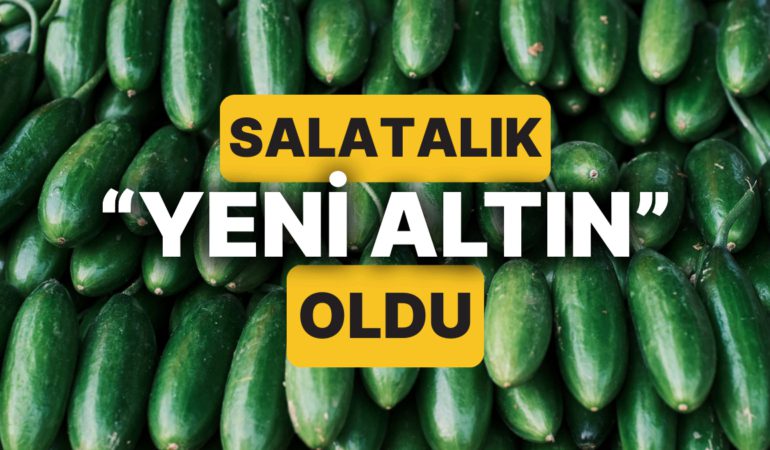 salatalik-bir-ulkede-yeni-altin-olarak-anilmaya-basladi-4p9IGcCO.jpg