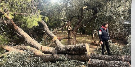 Şiddetli Fırtına Nedeniyle Yaşanan Olumsuz Durumlara Milas Belediyesi Anında Müdahale Etti