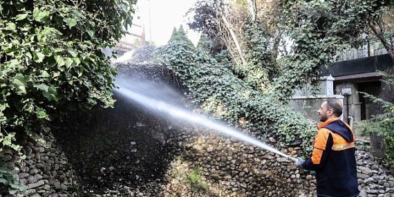 Başkent’in Simgesi Kuğulupark’ta Buharlı Paklık
