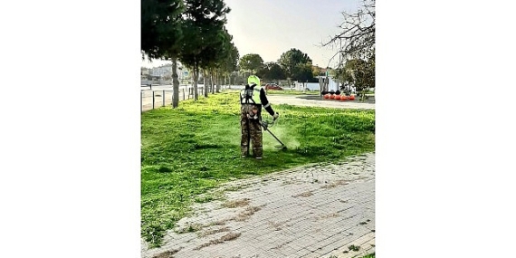 Didim Belediyesi’nin Çalışmaları ile İlçedeki Parklar Daha Hoş ve Daha Yeşil