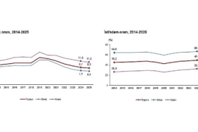 isgucu-istatistikleri-2025-HhiTXP5p.jpg