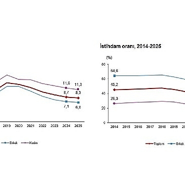 isgucu-istatistikleri-2025-HhiTXP5p.jpg