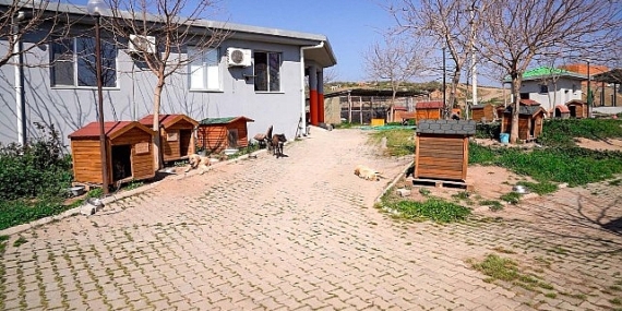 Lider Yetişkin: “Artık çöpe giden yemekler can dostlarımız için mamaya dönüşüyor”