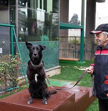 maltepede-pati-park-acildi-DL2RS6Eb.jpg