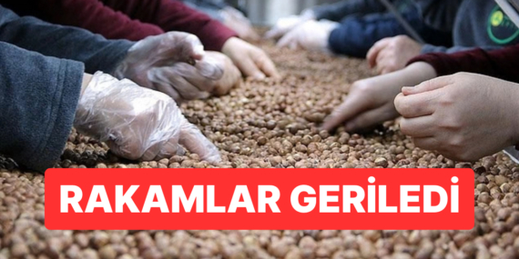 Türkiye’nin Fındık İhracatı 2 Ayda 388 Milyon Doları Aştı