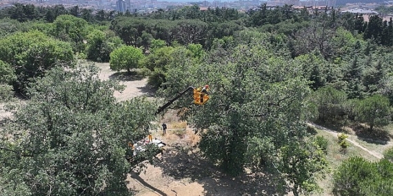 “Üsküdar Belediyesi’nin “Validebağ Korusu”nda Yaptığı Çalışmalar Avrupa’nın En Âlâ Uygulamaları Ortasında